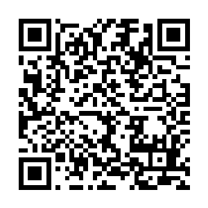 副县长戴立新哥哥的立杰集团的工地和长顺集团的工地二维码生成
