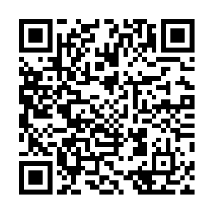 副局长脑海中甚至冒出了一个连她自己都感到震惊的念头二维码生成
