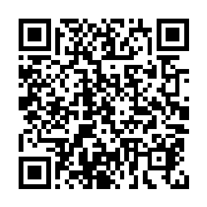副市长张广军没有把王广忠报告的情况进行上报二维码生成