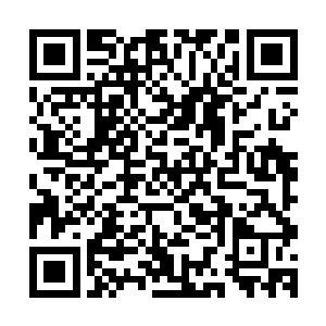 副驾驶位上的杨浩看清后排坐在边学道旁边的女人是徐尚秀后二维码生成