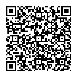 副驾驶室上坐着一个金发碧眼看起来英俊逼人的大帅哥――想起这个厉倾城就有些来气二维码生成