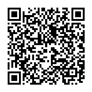 割苎麻的女人们都开始织布了部落的男人们还在这边收集大白蛋还有鱼和鸭子二维码生成