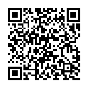 力莲一把把兽皮被子扯过来把自己完全包在其中二维码生成