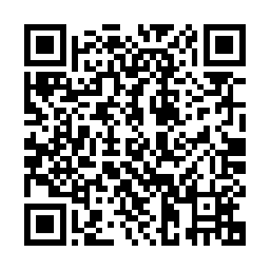 力莲和力易两个人经历了各种惊吓之后现在倒是进展的异常顺利二维码生成