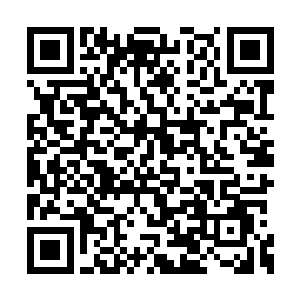 力莲的阿母脸上的表情因为她的话而松缓了不少二维码生成