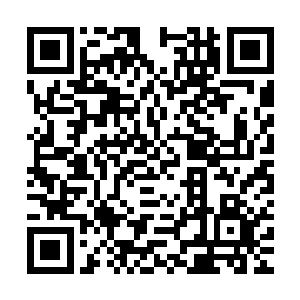 力莲还没来得及回答就被三个人簇拥着回到屋子里然后躺了下去二维码生成