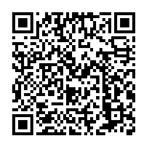 力量显然相比四眼战猫更为惊人……被加菲咬住的爪子直接挥舞起来二维码生成