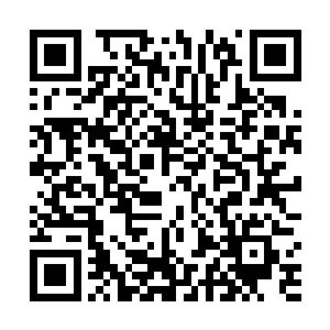 力量被耗干净之后只能眼睁睁己被密密麻麻的水蛭吞噬二维码生成