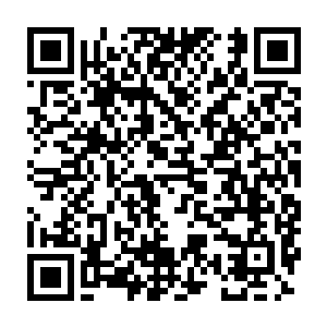 办案民警有时需要根据受害人或者目击者的口述来锁定犯罪嫌疑人二维码生成