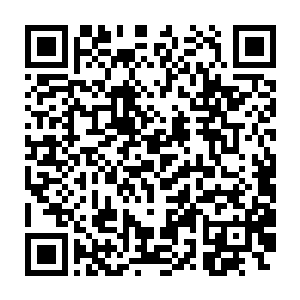 办起来事情来比夏云杰这个不擅长管理的掌教师尊都要麻利完美许多二维码生成