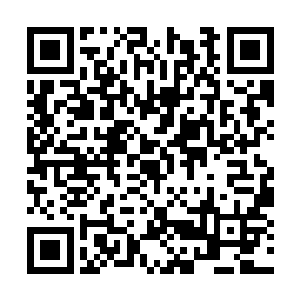 功力大增之后的铁熊感觉自尊心受到了极大的侮辱二维码生成