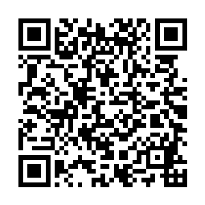 加上一直苦修不缀的浩然正气有着修炼神魄的神奇效果二维码生成