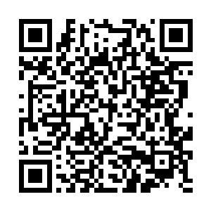 加上之前在地脉涌泉的十多天还有赤焰溶洞的后几天二维码生成