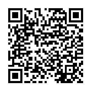 加上乔晓阳和柯建设这两个阜头县委里边的老资格这么一说二维码生成