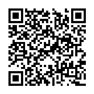 加上二十多位人族九品的神魂力量在那空间内肆掠二维码生成