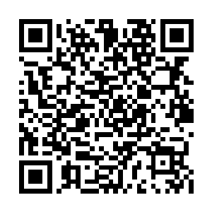 加上他此时满脑子都是双手在那柔软之上的触感二维码生成