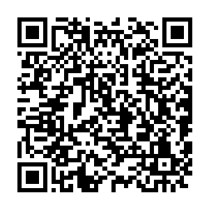 加上他确是有意要为夏侯惇这个一齐并肩作战多年的好兄弟复仇雪恨二维码生成