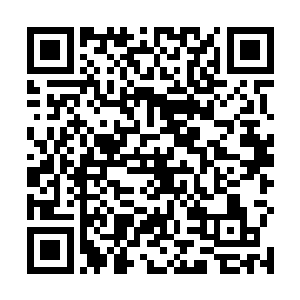 加上他透露开赌局的几个带头人要做什么大事急需用钱二维码生成