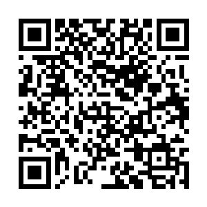 加上以前别墅跟蔷薇小筑之间就有一个很大的院子二维码生成