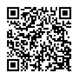 加上刚才的血液样本分析的结果也是一个好的开始二维码生成