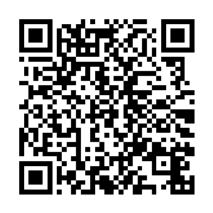 加上后来陆陆续续跟着他们的四百多艘杂牌流民船队二维码生成