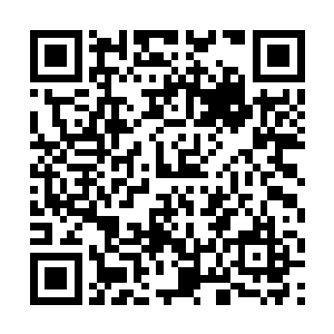 加上天凰书院这一次为了天凰鸟可以说是哦煞费苦心二维码生成