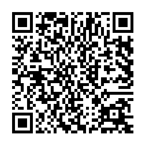 加上小金体内浑厚的灵力完全可以发发挥出这个盾牌的八成的威力二维码生成