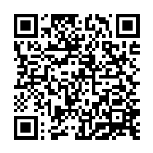 加上少女身上散发出来的那浓郁而又精纯的星辰之力二维码生成