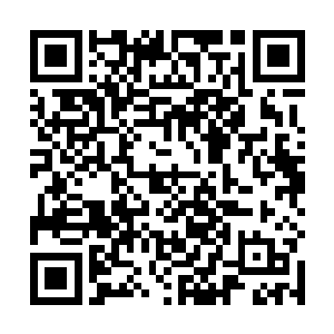 加上房主本人恨不得让全美国所有人都知道的张扬性格二维码生成