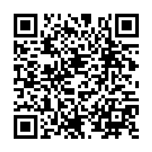 加上手上有悟道神茶上面他就对龙傲天敬畏有加了二维码生成