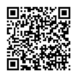 加上汉墓旅游开发被奸商招标变作了私人旅游基地二维码生成