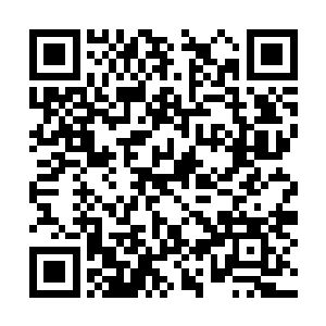 加上现在还有源源不断的修真者都在朝着这边聚集二维码生成