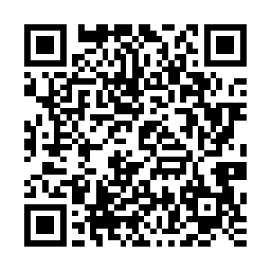 加上童云松和魏行侠二人背后隐约都有省委书记邵泾川的影子二维码生成