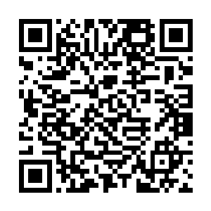 加上老爷子在他们这些后辈心中早已经是积威已久了二维码生成