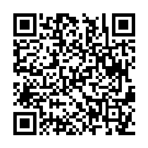 加上这些年来和天下间最厉害的对手斗过法拼过命二维码生成