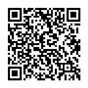 加上这次半卦山人一去天孤界就斩杀三个封王级二维码生成