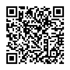 加上这段时间只看到世子殿下放下身段陪着李子疯玩二维码生成