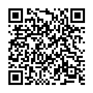 加上那该死的司机的电话也不知道怎么回事也一直打不通二维码生成