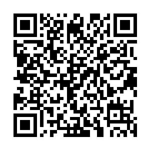 加上隐魔门和黑煞门的黑魔老鬼和那两个顶级神初期的人二维码生成