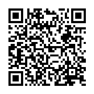 加上韩建明跟韩建业也不会让她做自己不愿意做的是二维码生成