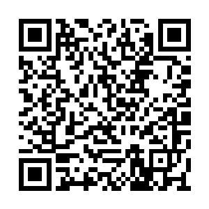 加之怕打草惊蛇楚安天没敢与那土地上峰有接触二维码生成