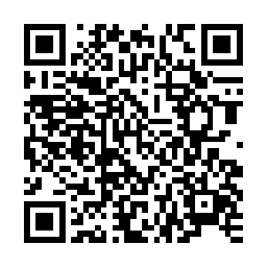 加之联想到幽泉狩猎的时机出现在夏侯家和寇家的合作结束之后二维码生成