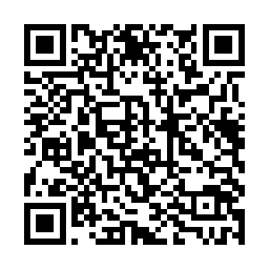 加入一个宗门或者家族也比加入一个冒险团强万倍吧二维码生成