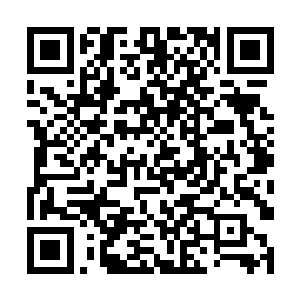 加增的应相有而高提的别级着随会还量力的士武赐天二维码生成