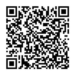 加强了静庭书房的防护――谁也不能预料这个举动会带来什么反应二维码生成