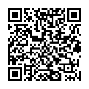 加快速度把之前我从战场上生擒的那些妖兵妖将进行寄生二维码生成