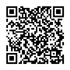 加持术却能在你落刀的瞬间将魔修修士的抗性提高数个等级二维码生成