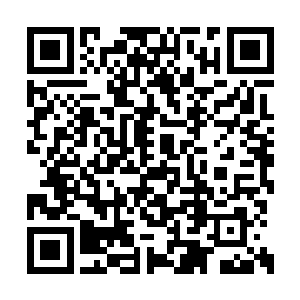 加菲尔德在我们手中拿走的那个东西叫什么来着二维码生成