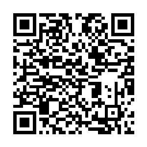 加隆很奇怪的并没有从对方身上感觉到攻击性的意识力二维码生成