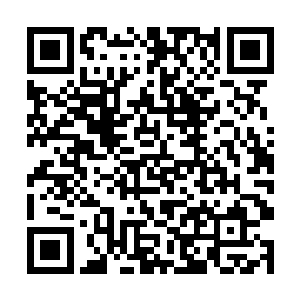 务必在三个月之内将劫厄难果带到这姓杨的小子面前二维码生成